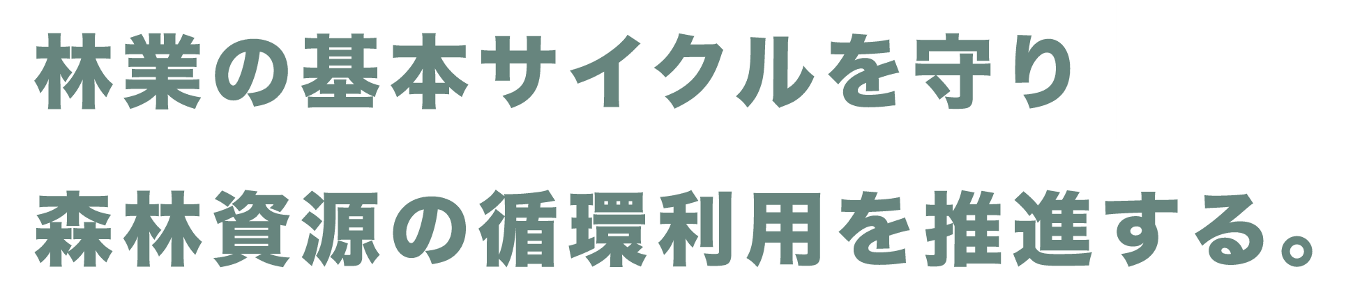 林業の基本サイクルを守り森林資源の循環利用を推進する。